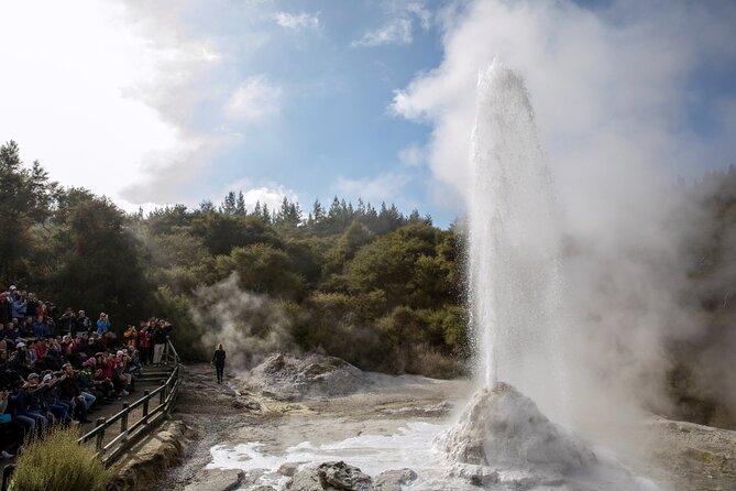 Half-Day Tour - Ex Rotorua: WAI-O-TAPU Thermal Wonderland - Lady Knox Geyser and the force below ground
