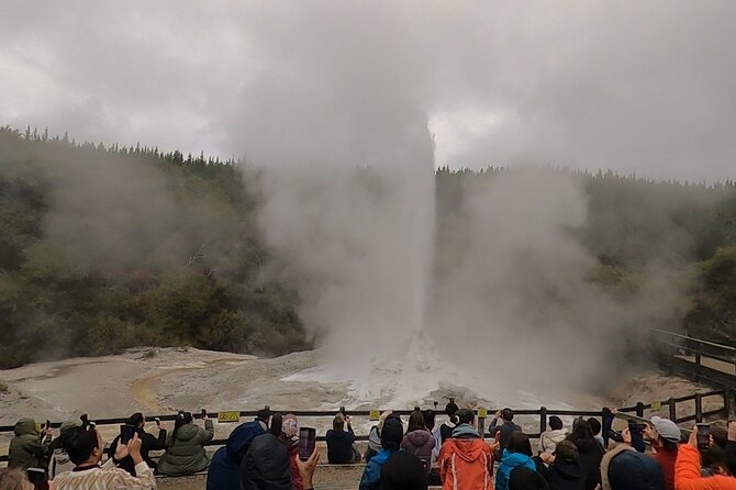 Half-Day Tour - Ex Rotorua: WAI-O-TAPU Thermal Wonderland - Who will enjoy this tour most