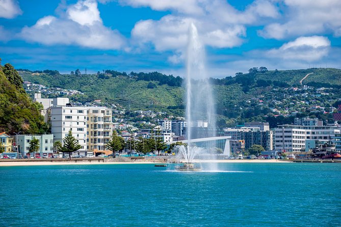 Half Day Tour of Wellington - Key points at a glance