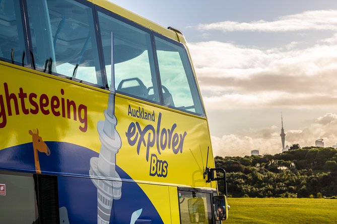 Half-Day Volcano Tour from Auckland - The guide makes the difference