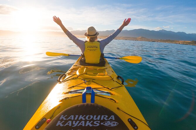 Half Day Zipline Adventure in Kaikoura - Short walks that add more than scenery
