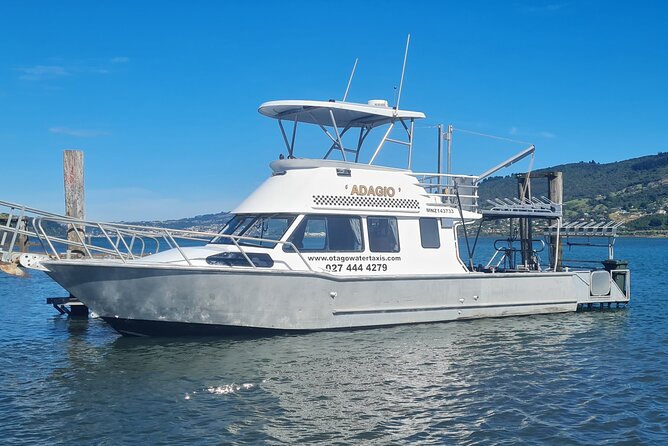 Harbour, Albatross and Wildlife Cruise on Otago Harbour - Key points to know before you book