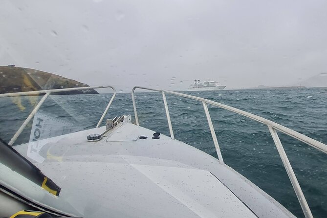 Harbour, Albatross and Wildlife Cruise on Otago Harbour - Ending at the Careys Bay Hotel