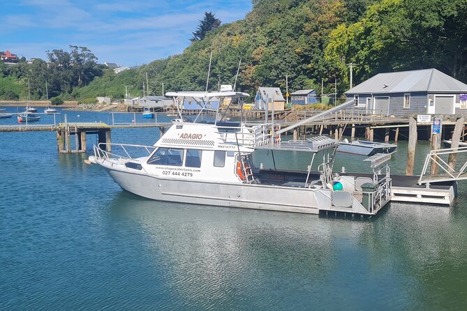 Harbour, Albatross and Wildlife Cruise on Otago Harbour - Price and what you receive for $80.67