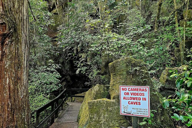 Haruru Waterfalls and Glow Worm Caves Tour - Inside the 45-minute Kawiti cave walk