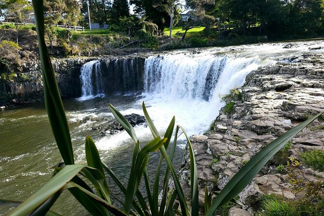 Haruru Waterfalls and Glow Worm Caves Tour - What the guide adds to the experience