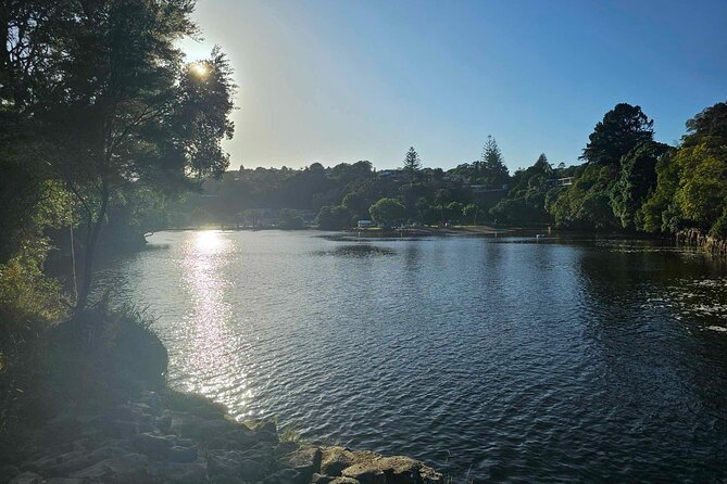 Haruru Waterfalls and Glow Worm Caves Tour - Who will enjoy this Paihia outing?