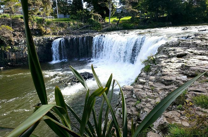Haruru Waterfalls and Glow Worm Caves Tour - Should you book the Haruru Falls and Glow Worm Caves tour?