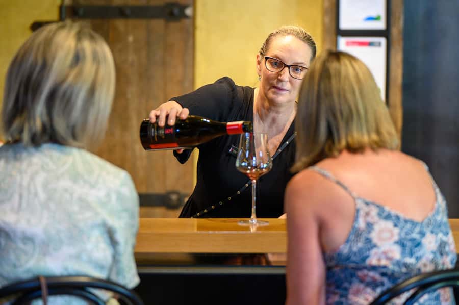 Hawkes Bay: Half-Day Wine Tour with Tastings and Cheeseboard - Key points at a glance