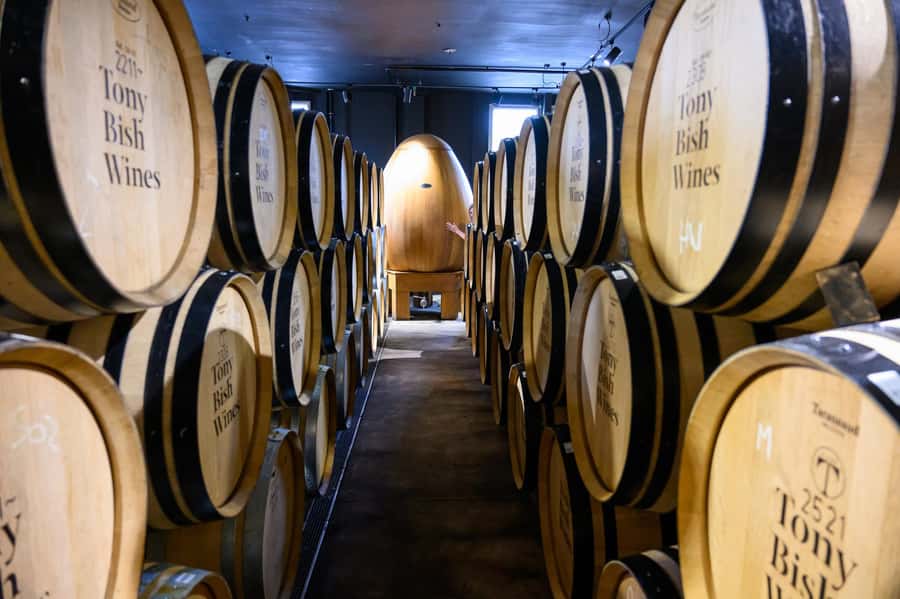 Hawkes Bay: Half-Day Wine Tour with Tastings and Cheeseboard - A second tasting among the vineyards