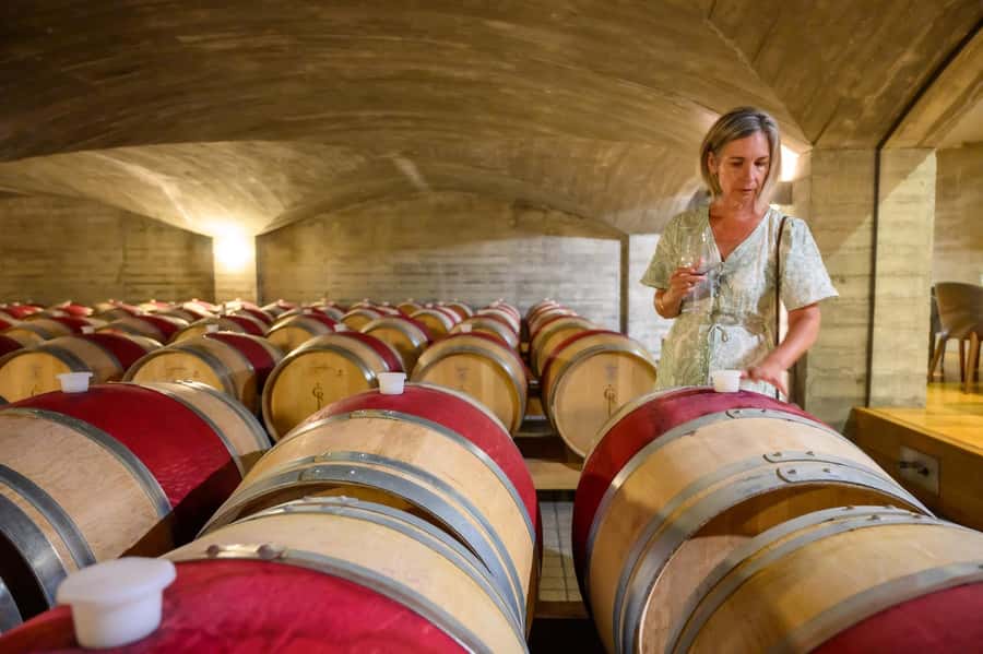 Hawkes Bay: Half-Day Wine Tour with Tastings and Cheeseboard - The cheeseboard adds welcome balance
