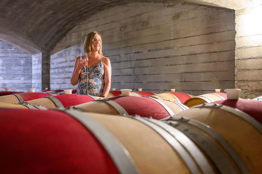 Hawkes Bay: Half-Day Wine Tour with Tastings and Cheeseboard - Is $96 a fair price?