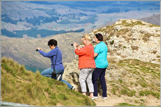 Hawkes Bay - Scenic, luncheon, wine Tour - Why the 1931 earthquake matters in Napier