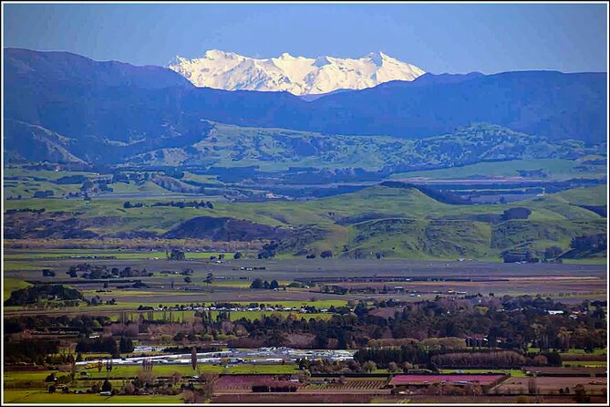 Hawkes Bay - Scenic, luncheon, wine Tour - Arataki Honey and the working side of the region