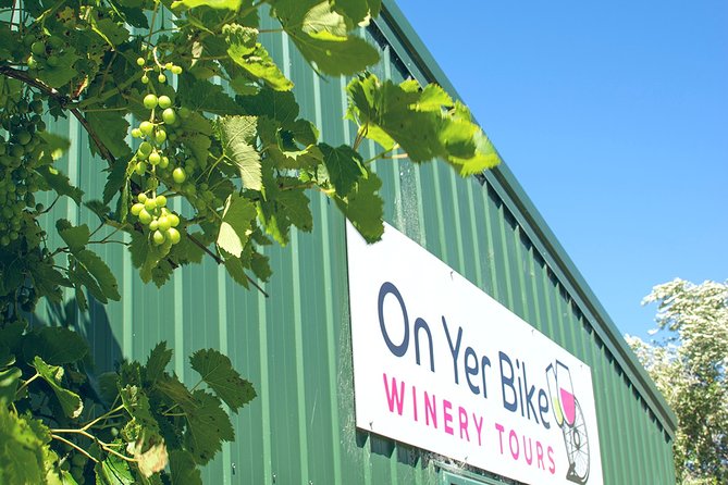 Hawkes Bay Wineries Self-Guided Bike Tour - What to expect at the winery stops