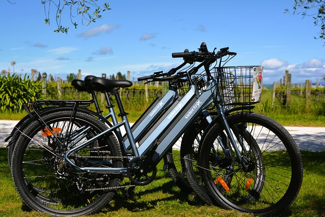 Hawkes Bay Wineries Self-Guided Electric Bike Tour - Lunch, tastings, and the 4pm return