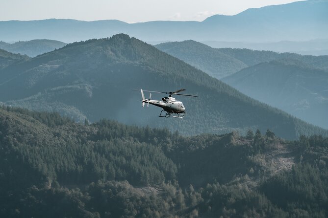 Heli-Scenic Nelson Mountain Adventure - Comfort, age, and weight details