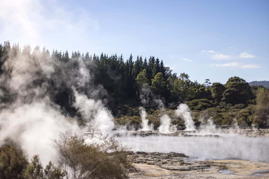 HELL'S GATE Mud Spa, Rotorua - Group Day Tour Ex Auckland - Key points at a glance