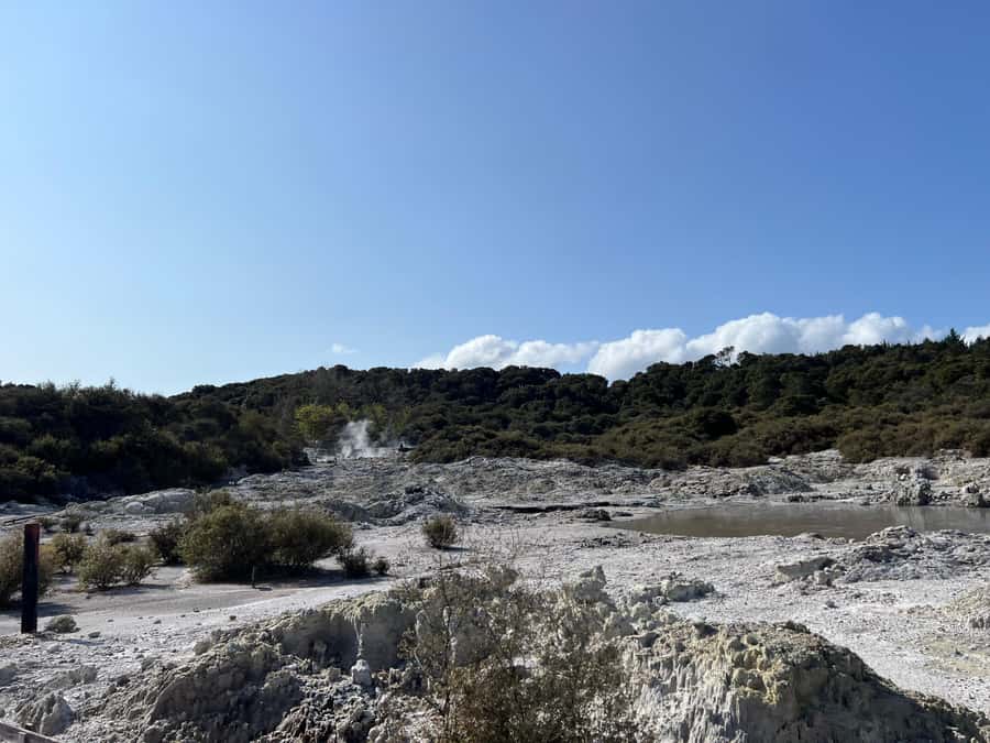 HELL'S GATE Mud Spa, Rotorua - Group Day Tour Ex Auckland - Walking through Hell’s Gate’s geothermal ground