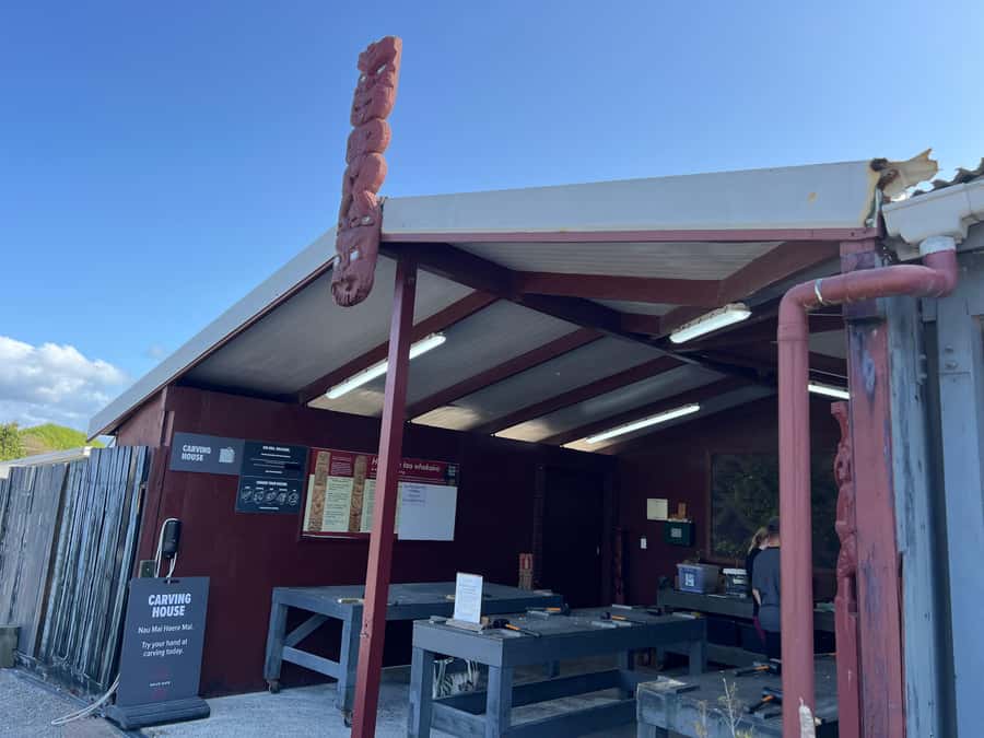 HELL'S GATE Mud Spa, Rotorua - Group Day Tour Ex Auckland - The 20-minute mud bath and sulphur spa