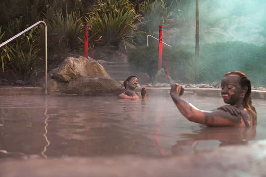 HELL'S GATE Mud Spa, Rotorua - Group Day Tour Ex Auckland - Lunch and the return to Rotorua
