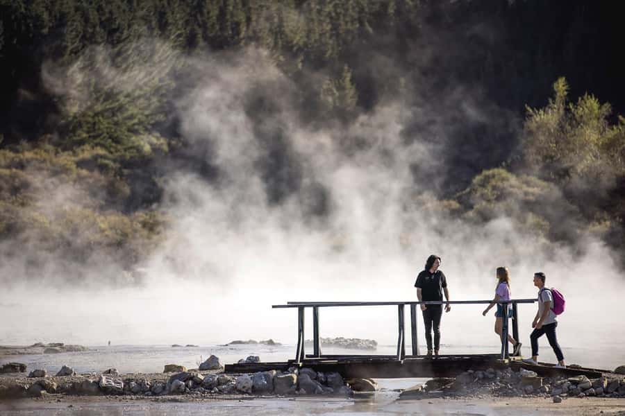 HELL'S GATE Mud Spa, Rotorua - Group Day Tour Ex Auckland - Who should book this day trip?