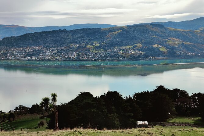 Heritage City and Larnach Castle Van tour with Historian Guide - Baldwin Street, a steep stop with a local angle