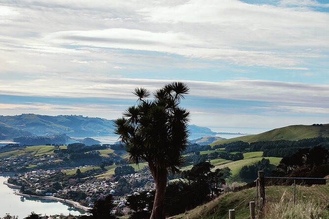 Heritage City and Larnach Castle Van tour with Historian Guide - Inside Dunedin Railway Station