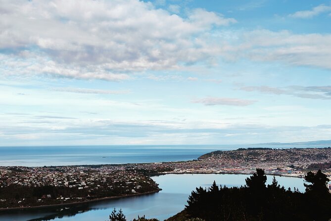 Heritage City and Larnach Castle Van tour with Historian Guide - High Street and Dunedin’s Devil’s Half Acre
