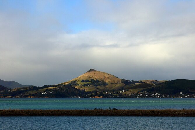 Heritage City and Larnach Castle Van tour with Historian Guide - Lunch at Luna, with the cost kept separate