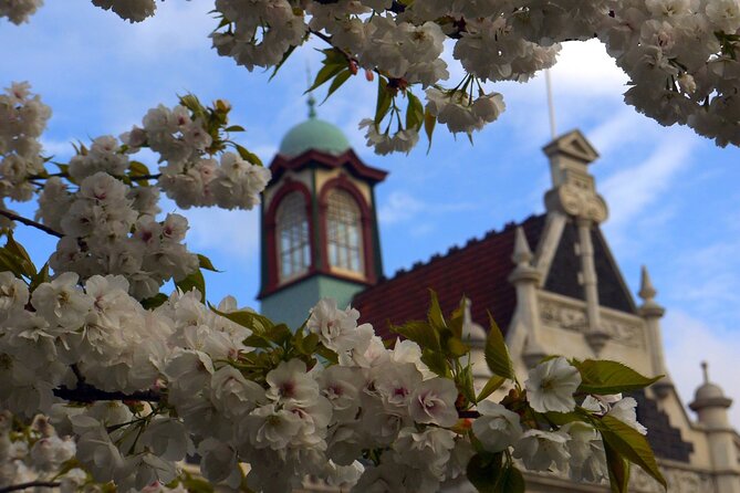 Heritage Dunedin City Walking Guided Tour - Princes Street and the winged monkeys