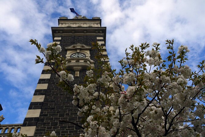 Heritage Dunedin City Walking Guided Tour - What the $40.34 price gives you