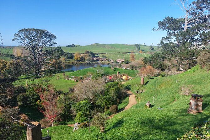 Hobbiton Afternoon Tour in Luxury Minibus from Auckland - Why the afternoon departure works so well