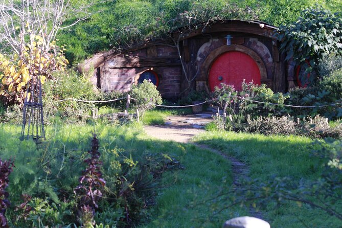 Hobbiton and Waitomo Caves from Auckland - Smaller Group - Waitomo Glowworm Cave: one hour underground