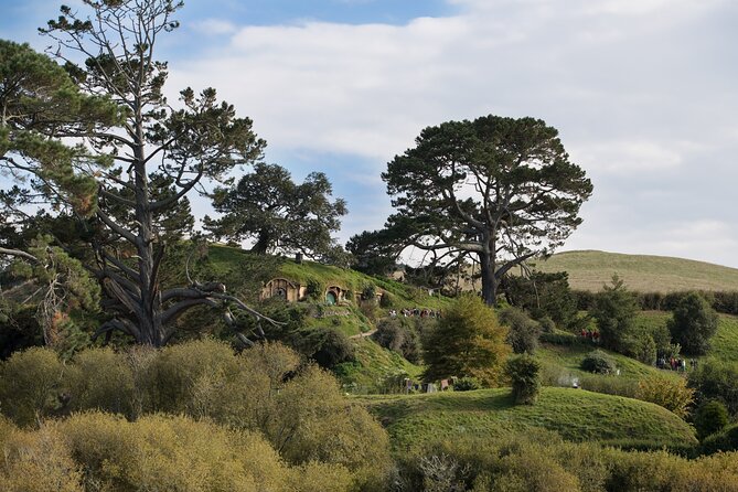 Hobbiton Day Tour from Rotorua with lunch at Hobbiton - The Green Dragon Inn and included lunch