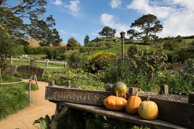 Hobbiton Day Tour from Rotorua with lunch at Hobbiton - How the $189.90 price works out