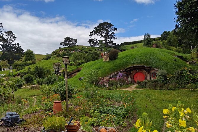 Hobbiton Movie Set Guided Day Tour with Lunch from Auckland - Hobbit holes, gardens, and the Green Dragon Inn