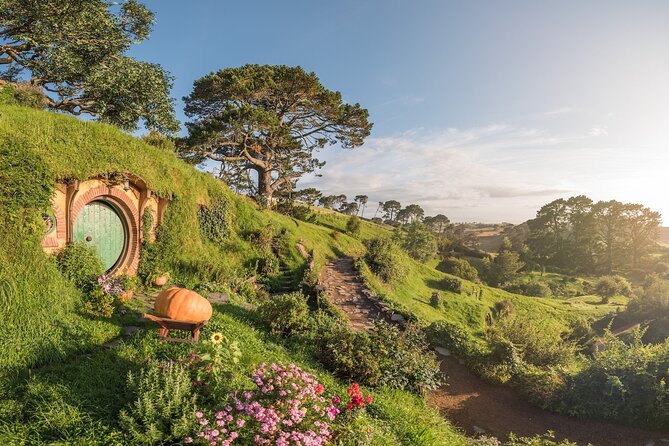 Hobbiton Movie Set Guided Day Tour with Lunch from Auckland - The return to Auckland and the real value of the price