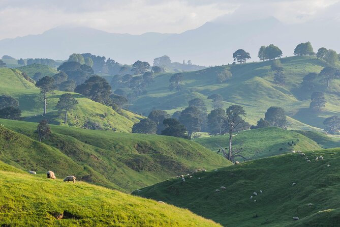 Hobbiton Movie Set Small Tour from Auckland - Walking through Hobbiton’s round doors and gardens
