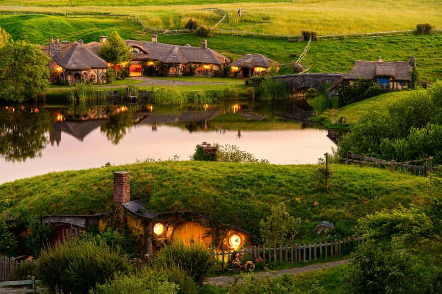 Hobbiton Movie Set & Te Puia Geothermal Valley Private Tour - Kiwi birds and native wildlife