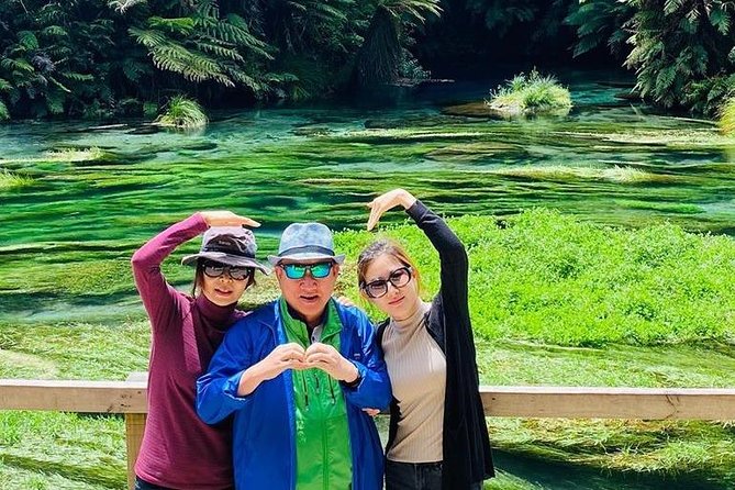 Hobbiton Movie Set tour & Glowworm Cave day tour - The value of private touring