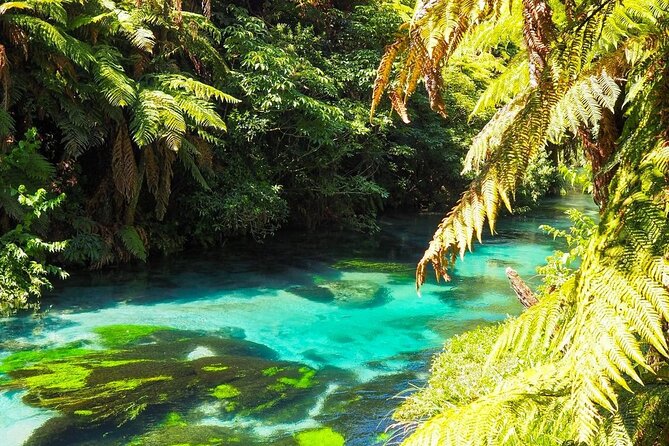Hobbiton Movie Set Tour to Blue Springs and Mineral Spa - Blue Springs and the sound of clear running water