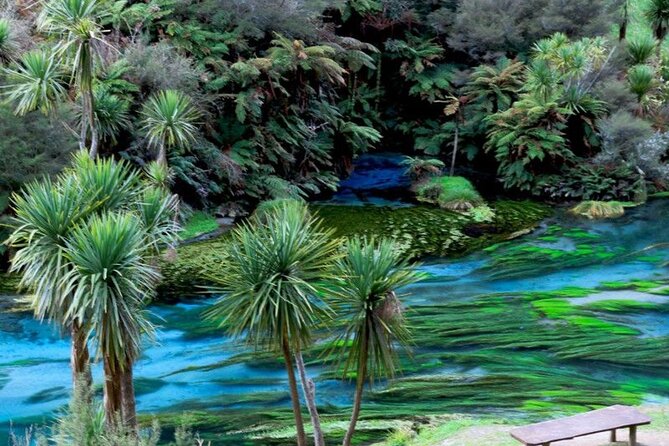 Hobbiton Movie Set Tour to Blue Springs and Mineral Spa - Te Aroha Mineral Spa and a private wooden bathtub