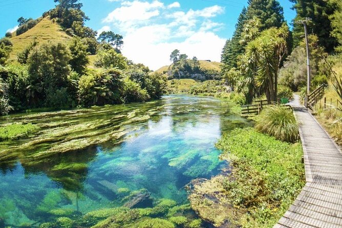Hobbiton Movie Set Tour to Blue Springs and Mineral Spa - The return to Auckland is part of the price
