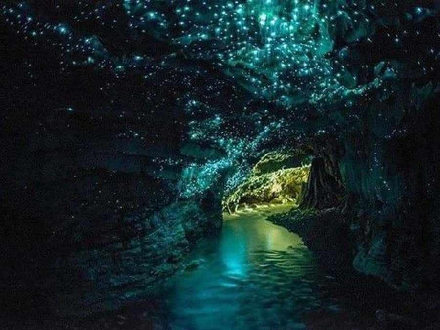Hobbiton Movie Set Tour to Blue Springs and Waitomo caves - Blue Springs and the sound of running water