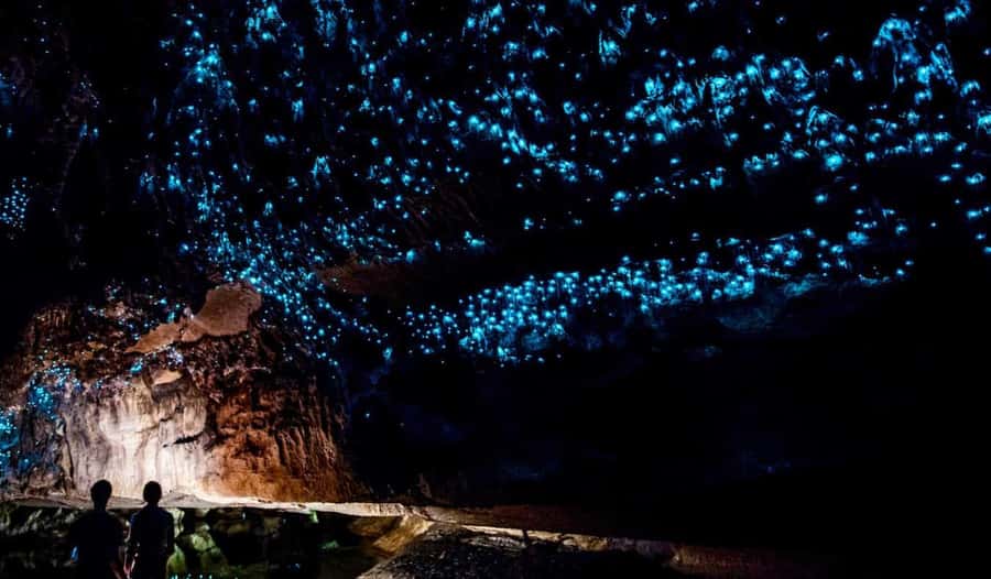 Hobbiton Movie Set Tour to Blue Springs and Waitomo caves - Should you book this North Island day trip?
