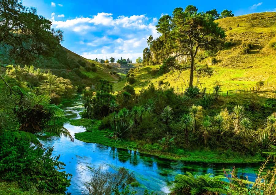 Hobbiton Movie Set Tour to Blue Springs and Waitomo caves - FAQ