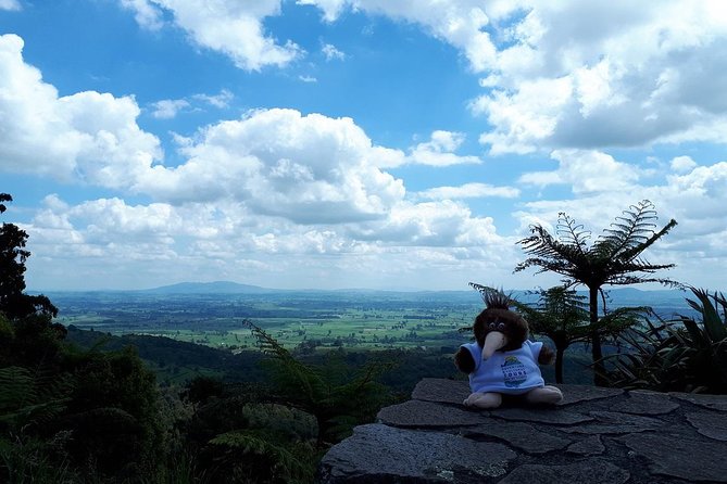 Hobbiton Transport & Tauranga Highlights Excursion from Tauranga - Who will enjoy this excursion most