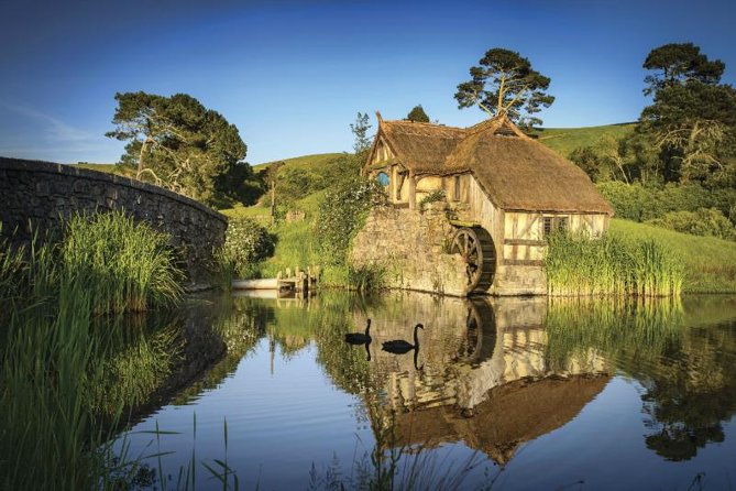 Hobbiton & Waitomo Caves Guided Day Trip from Auckland incl lunch - Hobbiton: a movie set that works even without the films