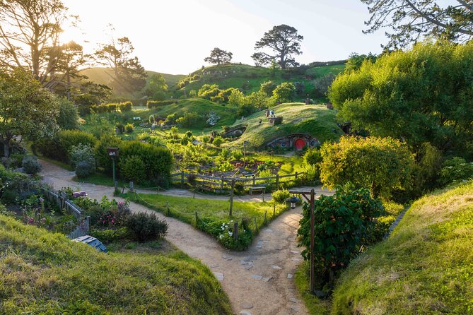 Hobbiton & Waitomo Caves Guided Day Trip from Auckland incl lunch - Leaving Auckland over the Bombay Hills